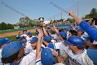 Baseball vs Babson  Wheaton College Baseball players celebrate their victory over Babson to win the NEWMAC Championship for the third year in a row. - (Photo by Keith Nordstrom) : Wheaton, baseball, NEWMAC